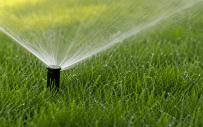 Manutenzione impianti di irrigazione durante le ferie: parti tranquillo e proteggi il tuo giardino